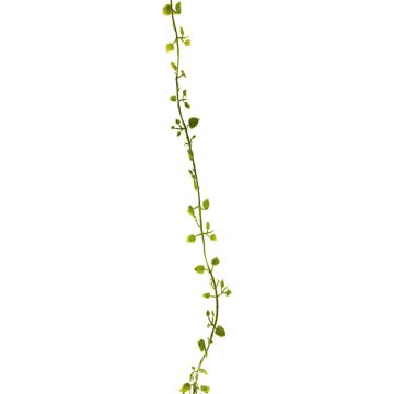 Ghirlanda artificiale di muehlenbeckia JIAMIN, verde, 240 cm