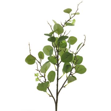 Ramo decorativo di eucalipto YURUO, verde, 90 cm