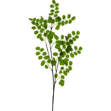 Ramo artificiale di acacia YUSHU, verde, 90 cm