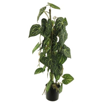 Pianta artificiale di edera maculata SHUSU, verde, 80 cm