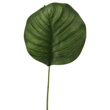 Foglia artificiale di Calathea Orbifolia ZICHEN, verde, 65 cm