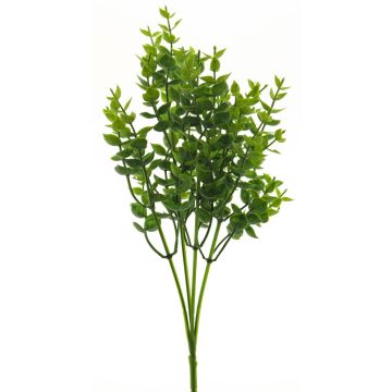 Erba decorativa di eucalipto MINXIA, stelo, verde, 35 cm