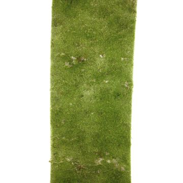Tappeto di muschio artificiale LANLING, verde, 300x80cm