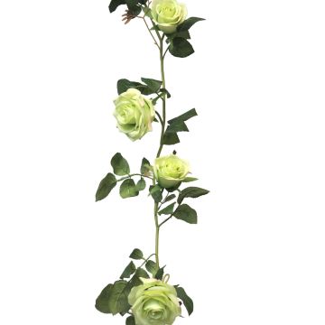 Ghirlanda di rose artificiali KAILIN, verde chiaro, 145 cm