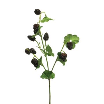 Ramo decorativo di mora KEXIN con frutti, nero, 45 cm
