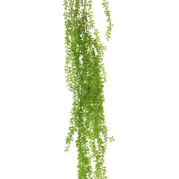 Senecio decorativo SHUANG su gambo, verde, 110 cm