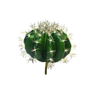 Cactus artificiale di cuscino della suocera TONGNA, su stelo, verde, 18 cm