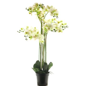Orchidea Phalaenopsis artificiale CHENXU, bianco, 110 cm