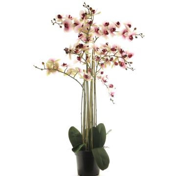 Orchidea Phalaenopsis artificiale CHENXU, rosa-crema, 110 cm