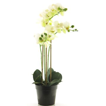 Orchidea Phalaenopsis artificiale CHENXU, bianco, 55 cm