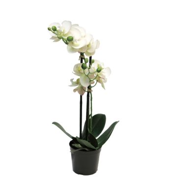 Orchidea Phalaenopsis artificiale CHENXU, bianco, 50 cm