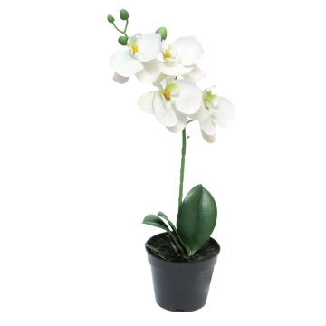 Orchidea Phalaenopsis artificiale CHENXU, bianco, 35 cm
