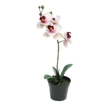 Orchidea Phalaenopsis artificiale CHENXU, rosa-crema, 35 cm