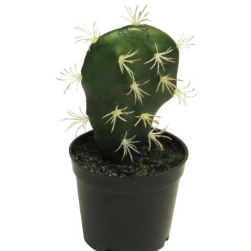 Cactus artificiale a colonna RUOFEI, verde, 16 cm