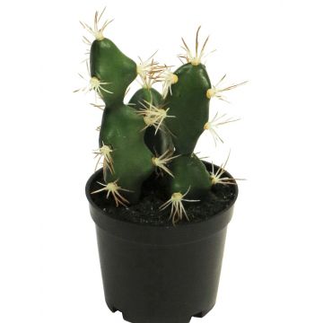 Cactus decorativo di Euphorbia abyssinica ROLIN, verde, 17 cm