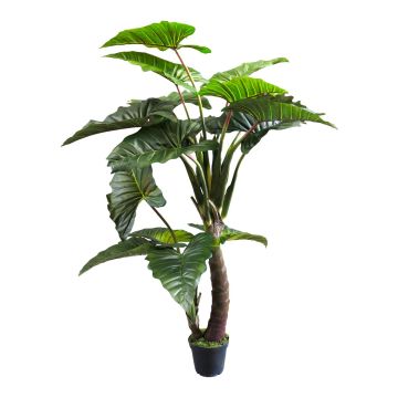 Pianta finta di colocasia FENYUE, verde, 220cm