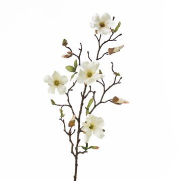 Ramo di magnolia artificiale LILO, crema, 75cm, Ø5-9cm