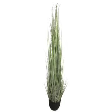 Erba di coda di volpe artificiale TONGLI in vaso decorativo, grigio-verde, 180 cm