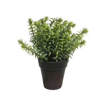 Succulenta artificiale di Sedum reflexum JINYU in vaso decorativo, verde, 23 cm