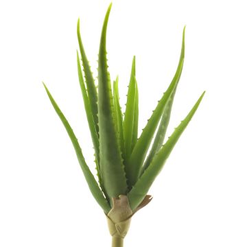 Aloe vera artificiale DAHENG su stelo, verde, 40 cm