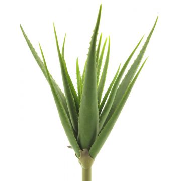 Aloe vera artificiale DAHENG su stelo, verde, 60 cm