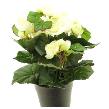 Begonia artificiale HETIAN, crema, 25 cm