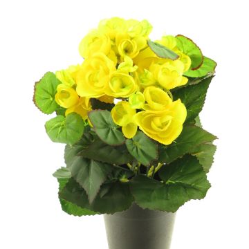 Begonia artificiale HETIAN, giallo, 25 cm