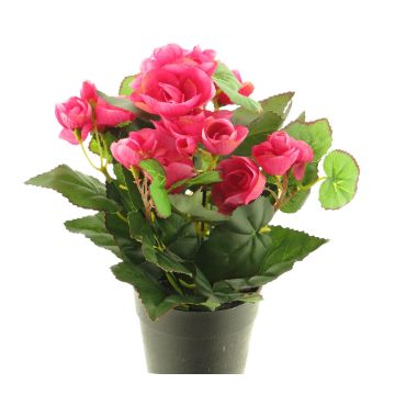 Begonia artificiale HETIAN, rosa, 25 cm