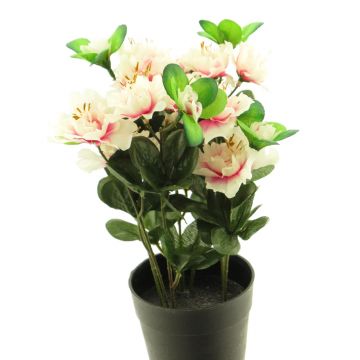 Azalea artificiale JINGSHU, rosa crema, 25 cm