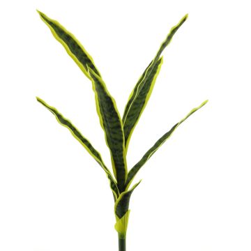 Sansevieria artificiale SUNLIN su stelo, verde-giallo, 60cm