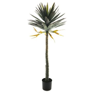 Palma artificiale di Yucca MUYANG, 150 cm