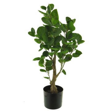 Pianta di aralia in plastica SHANG, tronco artificiale, verde, 65 cm