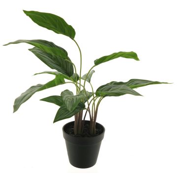 Pianta di plastica di aglaonema XIPING, vaso decorativo, verde, 50cm