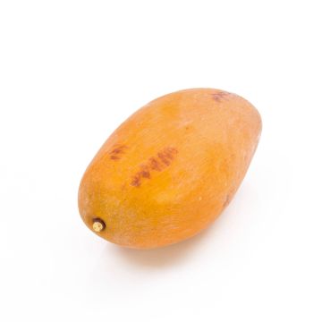 Mango sintetico OLINDA, arancione, 12cm, Ø6,5cm