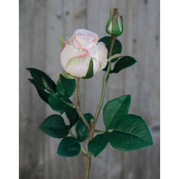 Rosa artificiale RENESMEE, rosa chiaro, 45cm, Ø6cm