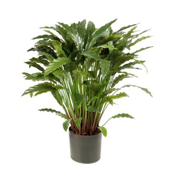 Pianta di calathea sintetica BAHATI, grande, verde, 85cm