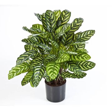 Calathea sintetica BADU, grande, verde-giallo, 80cm