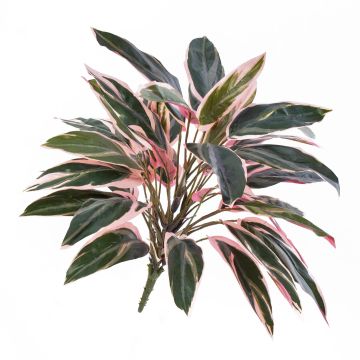 Cordyline sintetica THAIS su stelo, verde-rosa, 50cm