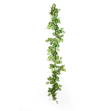 Ghirlanda di singonio artificiale AOLOA, verde-bianco, 180cm