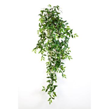 Tradescantia fluminensis artificiale AURELIE, gambo, verde, 125cm