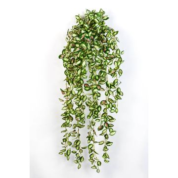 Tradescantia zebrina finta KATYINA su gambo, verde-rosso, 95cm