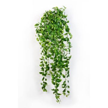 Tradescantia zebrina finta ADELINE su gambo, verde-bianco, 90cm