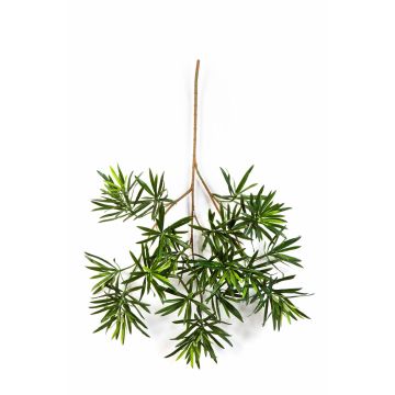 Ramo di podocarpus artificiale CHIKO, verde, 65cm