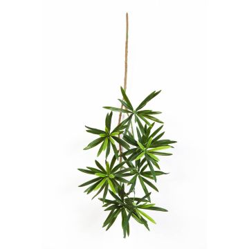 Ramo di podocarpus artificiale CHIKO, verde, 50cm