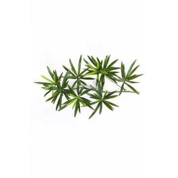 Ramo di podocarpus artificiale CHIKO, verde, 40cm