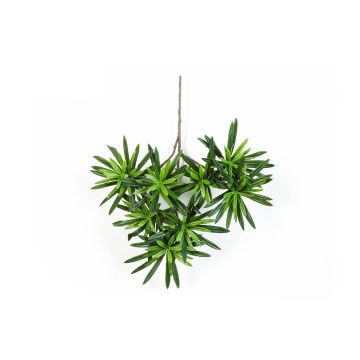 Rametto di podocarpus artificiale DAICHI, verde, 40cm