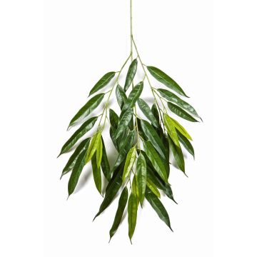 Ramo di longifolia artificiale RANJAN, verde, 80cm