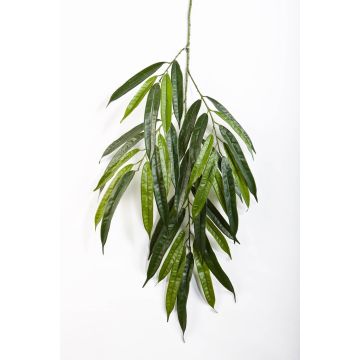 Rametto di longifolia artificiale NILAY, verde, 65cm