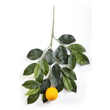 Ramo di arancio artificiale ADRIANA, con frutti, verde, 60cm