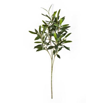 Ramo di olivo artificiale KONSTANTINOS, verde, 50cm